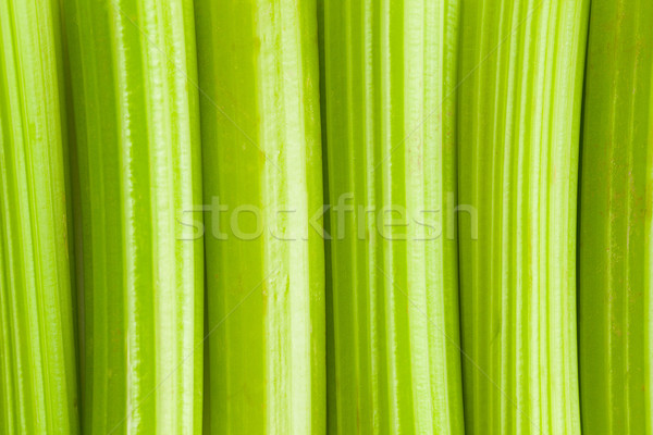 green celery background Stock photo © jirkaejc