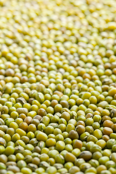 mung beans Stock photo © jirkaejc