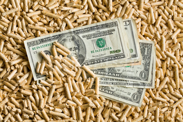 pellets with american dollars Stock photo © jirkaejc