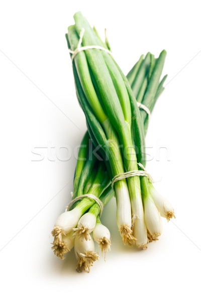 fresh spring onion Stock photo © jirkaejc
