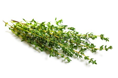 thyme herb Stock photo © jirkaejc