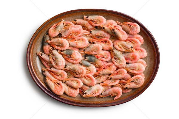 商業照片: 蝦 · 盤 · 白 · 食品 · 吃 / boiled shrimp on plate