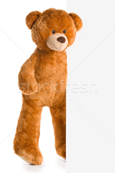 teddy bear behind whiteboard Stock photo © jirkaejc