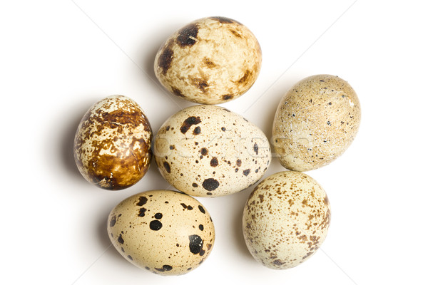 Stock foto: Eier · weiß · Natur · Ei · Vogel · Frühstück