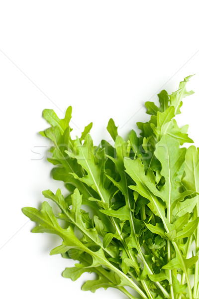 fresh arugula leaves  Stock photo © jirkaejc