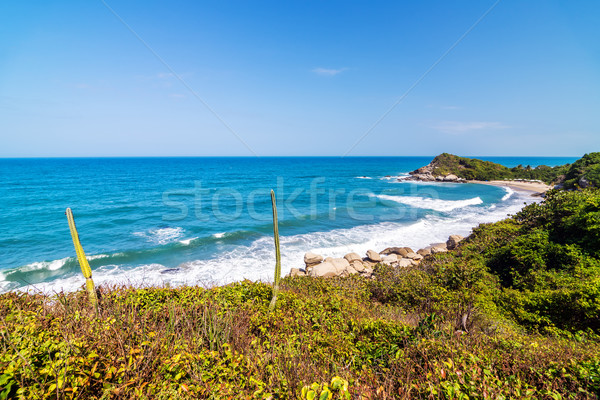 Foto stock: Playa · parque · Caribe · mar · Colombia · forestales