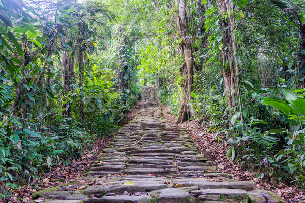 Perdu ville escaliers pierre jungle Colombie [[stock_photo]] © jkraft5