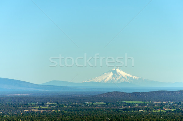 Mount Hood and Forest Stock photo © jkraft5