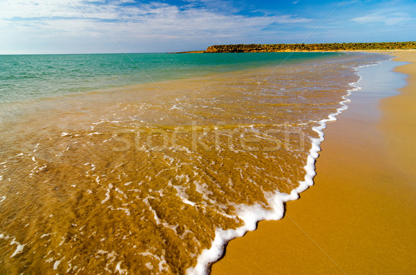 Beach Waves Closeup Stock photo © jkraft5