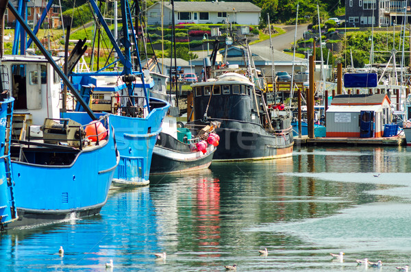 Fishing Boats Stock photo © jkraft5