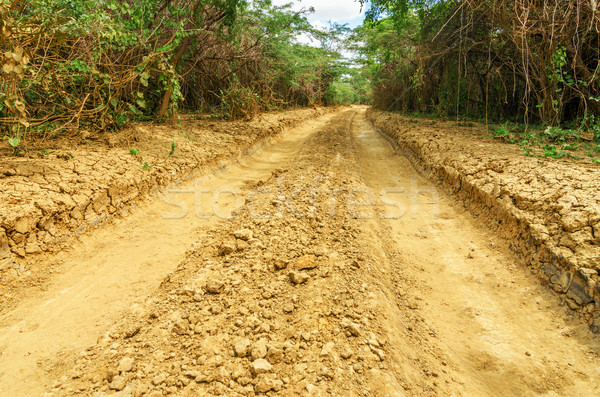 Rough Dirt Tracks Stock photo © jkraft5