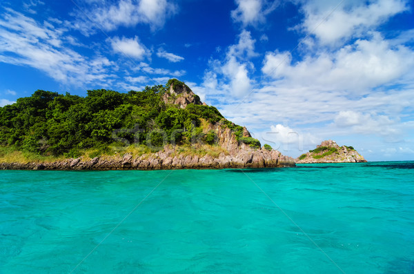 Green Island in Turquoise Water Stock photo © jkraft5