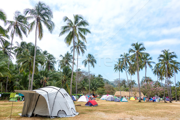 Tropical Campsite Stock photo © jkraft5