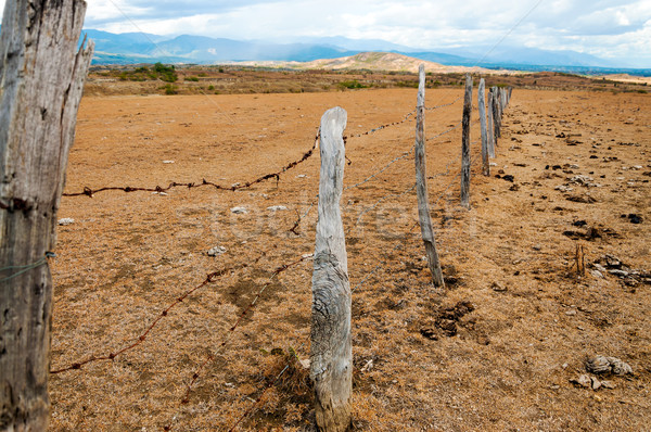 Old Fence Posts Stock photo © jkraft5