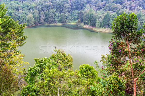 Lake in Arvi Park Stock photo © jkraft5