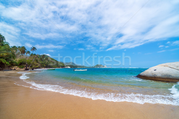 Caribbean praia Colômbia tropical parque floresta Foto stock © jkraft5