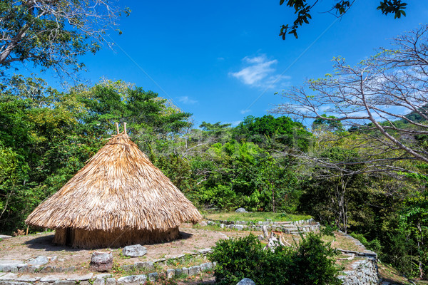 Stockfoto: Indian · huis · rustiek · park · home