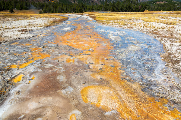 Small Creek in Yellowstone Stock photo © jkraft5