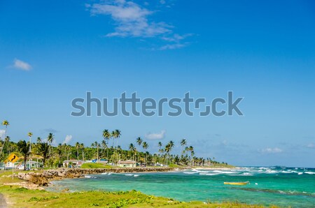 Turquoise Caribbean Bay Stock photo © jkraft5