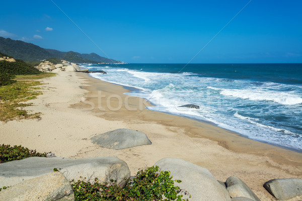 Long Deserted Beach Stock photo © jkraft5