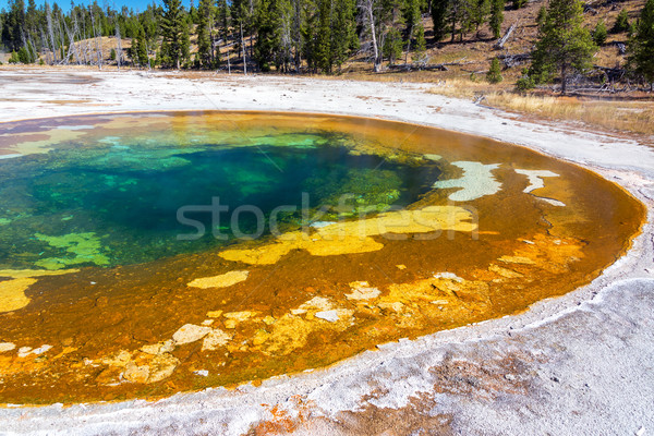 Beauty Pool in Yellowstone Stock photo © jkraft5