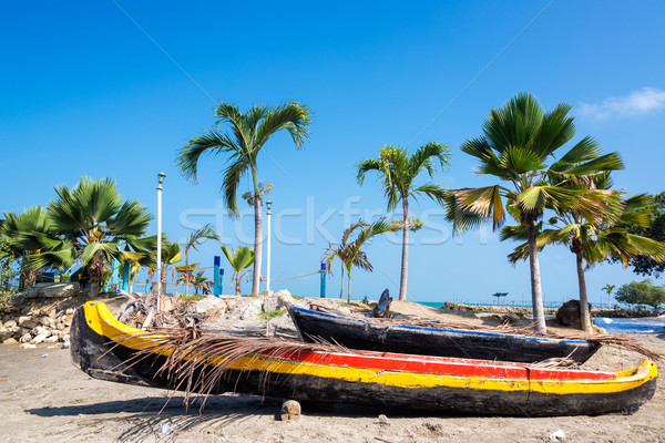 Beached Canoes Stock photo © jkraft5