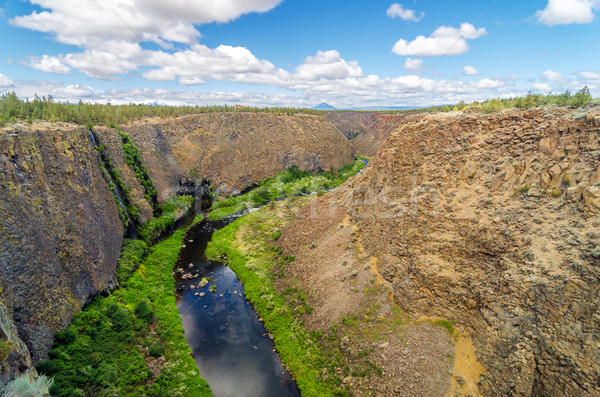 Crooked River Canyon Stock photo © jkraft5