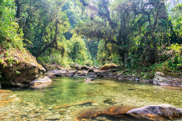 джунгли реке работает Невада воды Сток-фото © jkraft5