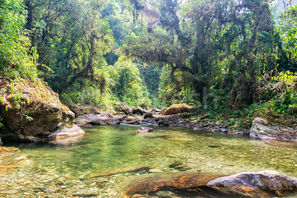 Foto stock: Selva · río · ejecutando · Nevada · agua