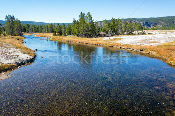 Firehole River View Stock photo © jkraft5