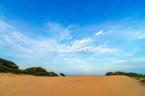 Sand and Blue Sky Stock photo © jkraft5