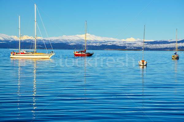 Boats in the Beagle Channel Stock photo © jkraft5