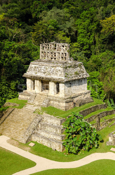 Mayan Temple Stock photo © jkraft5
