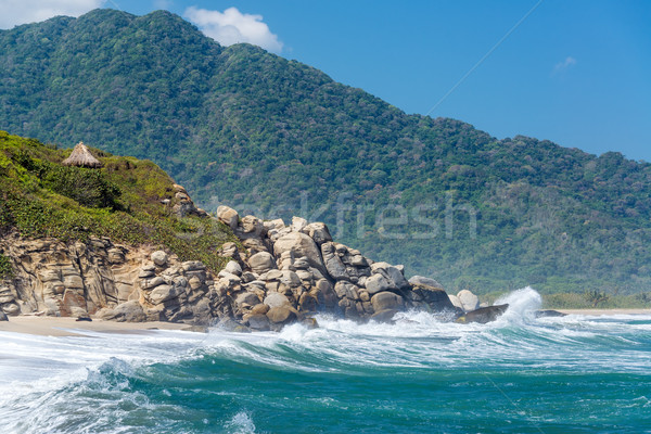 Beach and Green Hills Stock photo © jkraft5