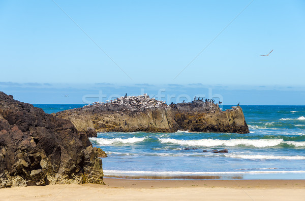 Oregon côte plage paysage bleu Voyage [[stock_photo]] © jkraft5