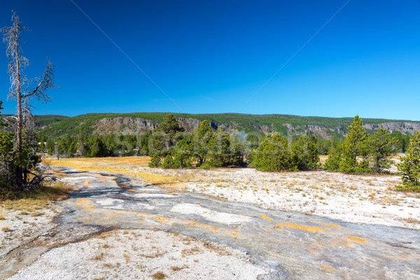 Geysir Landschaft Ansicht Wasser Ausbruch Wolken Stock foto © jkraft5