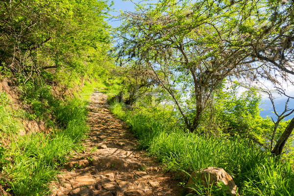 Path Between Barichara and Guane Stock photo © jkraft5