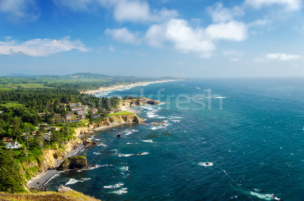 Oregon kust weelderig groene mooie Blauw Stockfoto © jkraft5