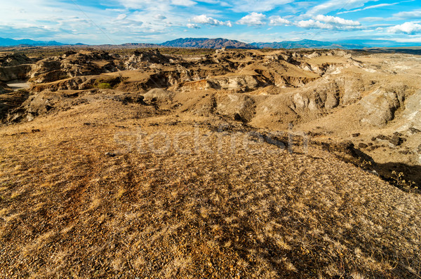 Desert Landscape Stock photo © jkraft5