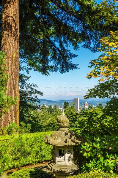 Oregon cityscape alto pinheiro escritório montanha Foto stock © jkraft5