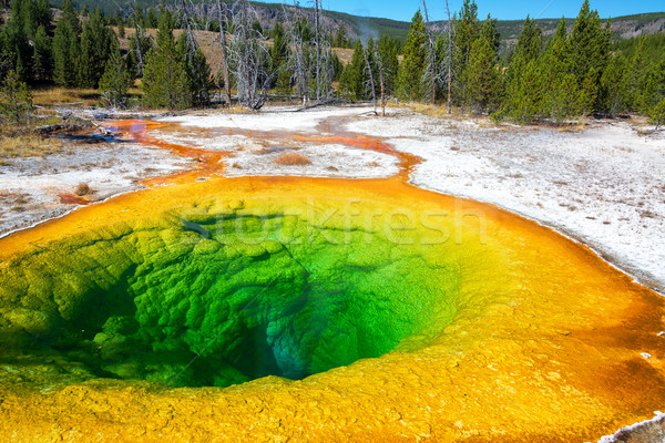 Morning Glory Pool View Stock photo © jkraft5