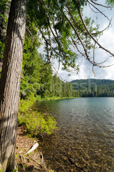 Baisser jumeau lac ciel forêt paysage [[stock_photo]] © jkraft5