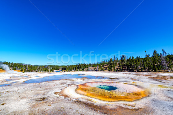 Wide Angle View of Chromatic Pool Stock photo © jkraft5