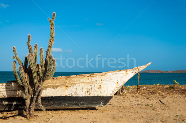 Stock photo: Cactus on a Beach