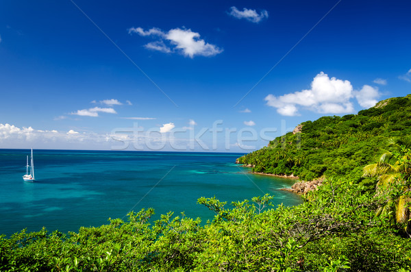 Secluded Bay and Yacht Stock photo © jkraft5