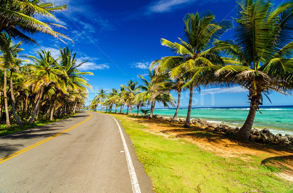 Highway and Coast Stock photo © jkraft5