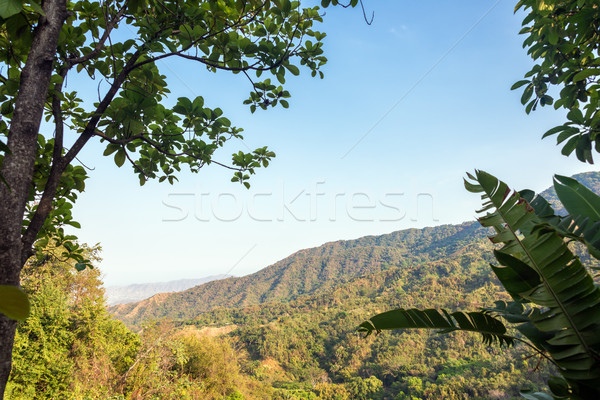 Lush Green Hills Stock photo © jkraft5