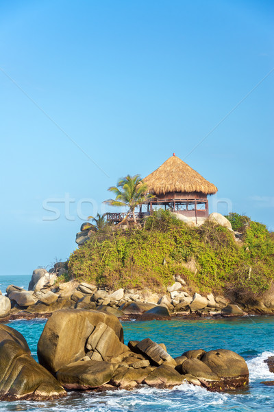 Palm Tree and Shack Stock photo © jkraft5