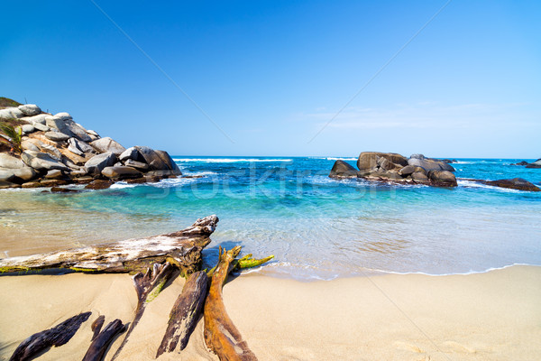 Beach and Driftwood Stock photo © jkraft5