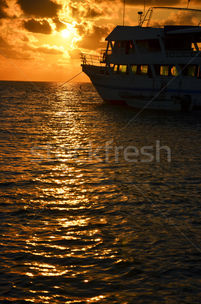 Sunrise in the Caribbean Stock photo © jkraft5